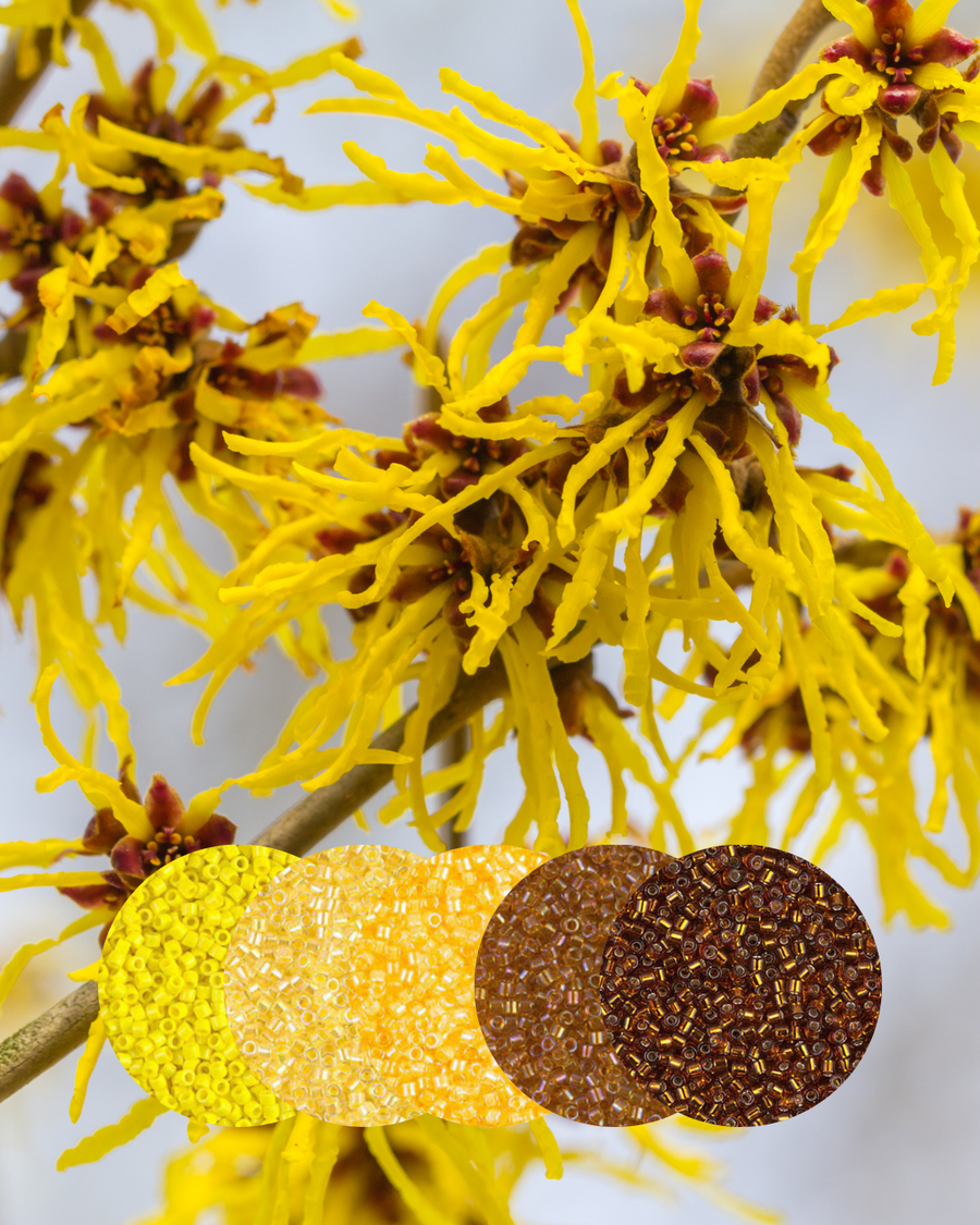 PREORDER Winter Renewal January 2026