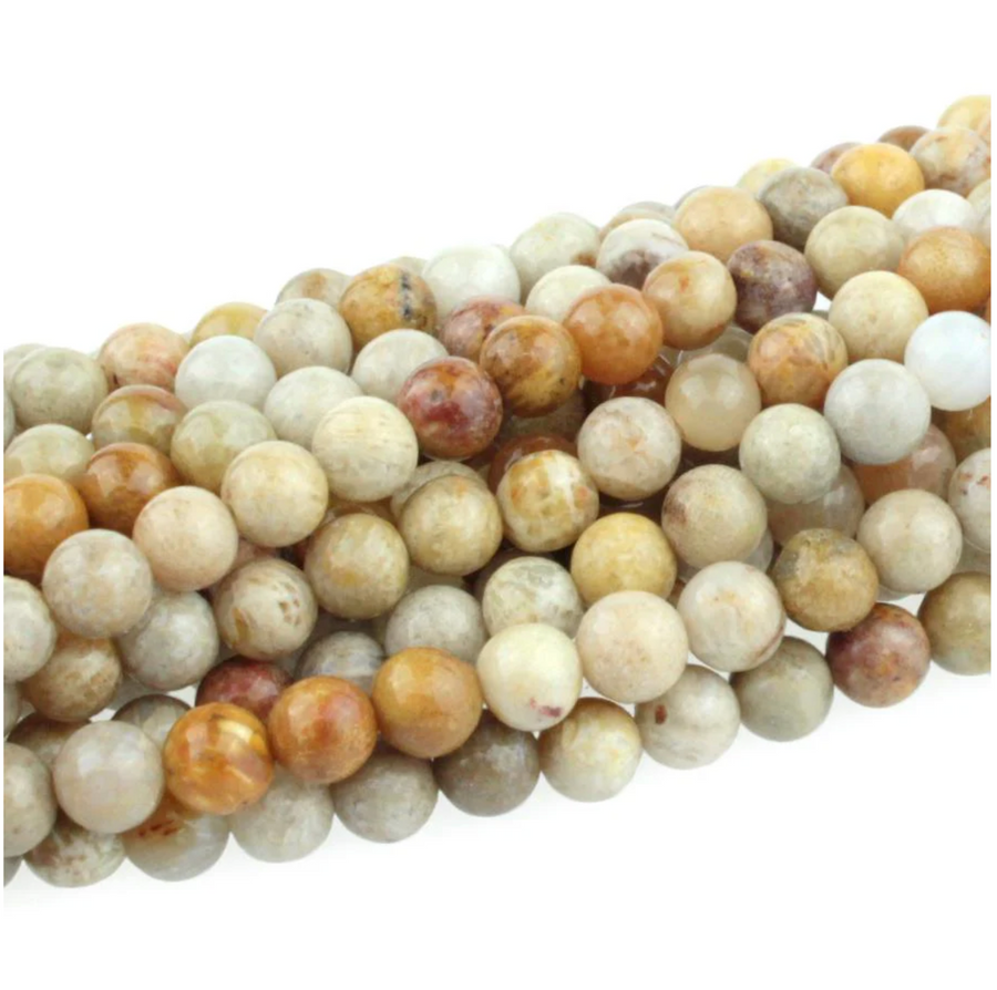 Fossil Coral- 4mm Rounds