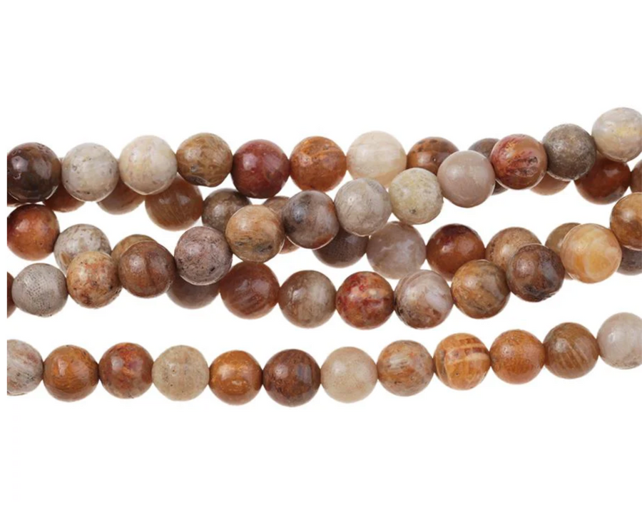 Fossil Coral- 6mm Rounds