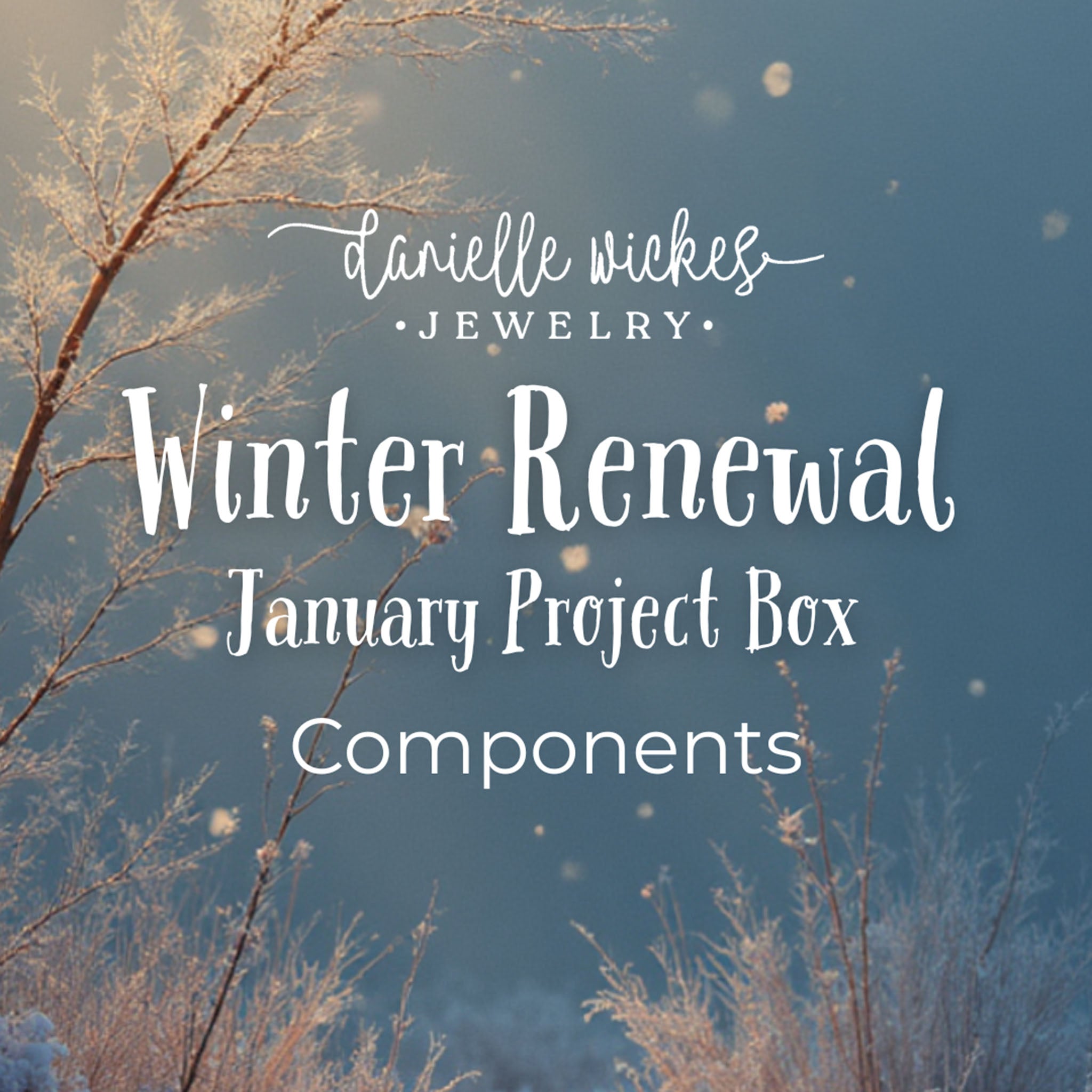 January Project Box Components- Limited Quantities